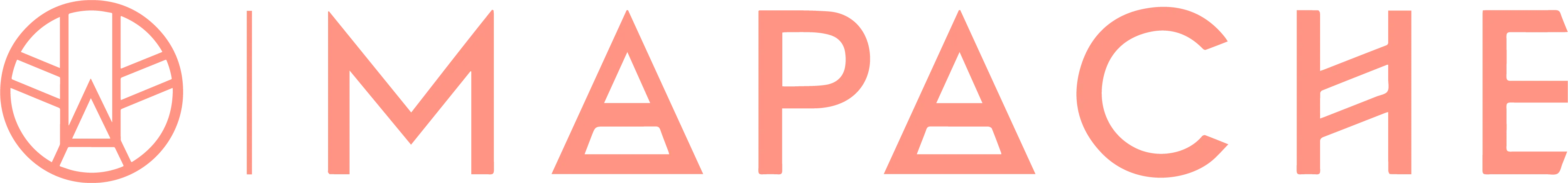 Mapache logo